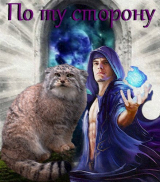 скачать книгу По ту сторону (СИ) автора Манул Яростный