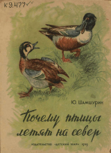 скачать книгу Почему птицы летят на Север автора Юрий Шамшурин