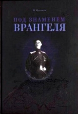 скачать книгу Под знаменем Врангеля: заметки бывшего военного прокурора автора И. Калинин