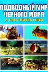 скачать книгу Подводный мир Черного моря автора Евгения Искив
