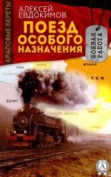 скачать книгу Поезд особого назначения автора Алексей Евдокимов