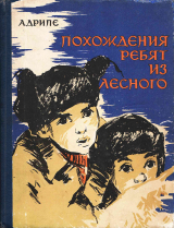 скачать книгу Похождения ребят из Лесного автора Андрей Дрипе
