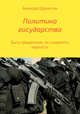 скачать книгу Политика государства автора Алексей Шелегин