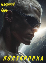 скачать книгу Полукровка (СИ) автора Василий Горъ