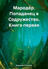 скачать книгу Попаданец в Содружество (СИ) автора Владимир Поселягин