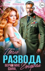 скачать книгу После развода. Верни мне сына, генерал (СИ) автора Элен Блио