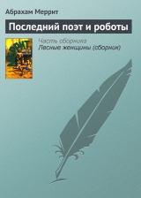 скачать книгу Последний поэт и роботы автора Абрахам Грэйс Меррит