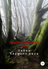 скачать книгу Приключения ДД. Тайна Чёрного леса автора Евгения Ляшко