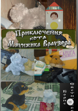скачать книгу Приключения кота Мяунжика Враузера автора Борис Евстигнеев
