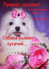 скачать книгу Привет, оружие! (главы 5 и 6) автора Александр Кузнецов