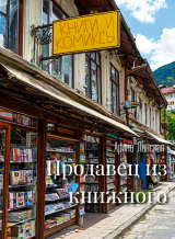 скачать книгу Продавец из книжного (СИ) автора Арина Ланская