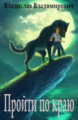 скачать книгу Пройти по краю (СИ) автора Владислав Владимирович