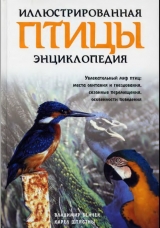 скачать книгу Птицы автора Владимир Бейчек