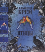 скачать книгу Птицы. Том 1 автора Альфред Эдмунд Брем