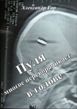 скачать книгу Пуля многое переворачивает в голове (СИ) автора Александр Гор