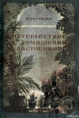 скачать книгу Путешествие с домашними растениями автора Николай Верзилин