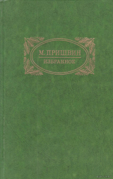 скачать книгу Ранний дневник. 1905-1913 автора Михаил Пришвин
