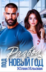 скачать книгу Развод под новый год (СИ) автора Юлия Ильская