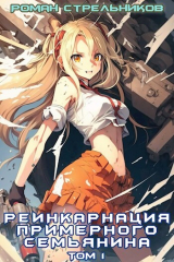 скачать книгу Реинкарнация примерного семьянина (СИ) автора Роман Стрельников