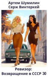 скачать книгу Ревизор: возвращение в СССР 30 (СИ) автора Артем Шумилин