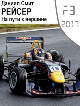 скачать книгу Рейсер. На пути к вершине (СИ) автора Данил Кузнецов