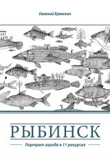 скачать книгу Рыбинск. Портрет города в 11 ракурсах автора Евгений Ермолин