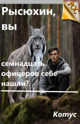 скачать книгу Рысюхин, вы семнадцать офицеров себе нашли? (СИ) автора Котус