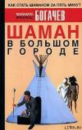 скачать книгу Шаман в большом городе автора Филипп Богачев