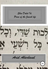скачать книгу Shin Dalet Id. Prose of Jewish life автора Ariel Abarbanel