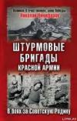 скачать книгу Штурмовые бригады Красной Армии в бою автора Николай Никофоров