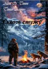 скачать книгу Сквозь стужу (СИ) автора Alex O`Timm