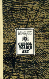 скачать книгу Сквозь толщу лет автора Евгения Васильева