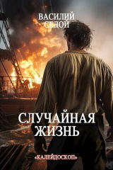 скачать книгу Случайная жизнь (СИ) автора Василий Седой