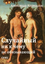 скачать книгу Случайный ни к чему не обязывающий секс автора Александр Кормашов