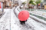 скачать книгу Снег по-японски автора Игорь Окинава