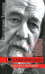 скачать книгу Солженицын и колесо истории автора Владимир Лакшин