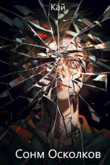 скачать книгу Сонм Осколков. Том 1 (СИ) автора Кай