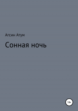 скачать книгу Сонная ночь автора Агсин Атум