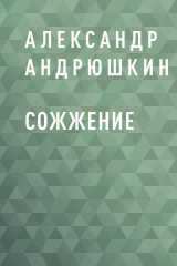 скачать книгу Сожжение автора Александр Андрюшкин