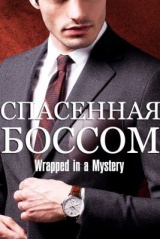 скачать книгу Спасенная босом (СИ) автора Wrapped a Mystery