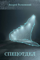 скачать книгу Спецотдел 3 (СИ) автора Андрей Волковский
