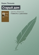 скачать книгу Старый дом автора Борис Пильняк