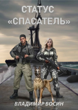 скачать книгу Статус "Спасатель" (СИ) автора Владимир Босин