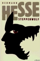 скачать книгу Степной волк автора Герман Гессе
