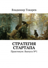 скачать книгу Стратегия стартапа автора Владимир Токарев