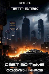 скачать книгу Свет во тьме. Осколки миров (СИ) автора Петр Блэк