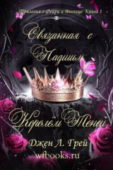 скачать книгу Связанная с Падшим Королём Теней (ЛП) автора Джен Л. Грей