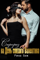 скачать книгу Сюрприз на День святого Валентина (СИ) автора Рина Беж