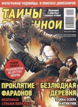 скачать книгу Тайны вселенной 2024 №12 автора авторов Коллектив