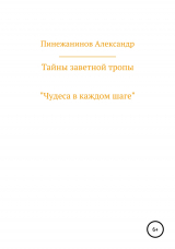 скачать книгу Тайны заветной тропы автора Александр Пинежанинов